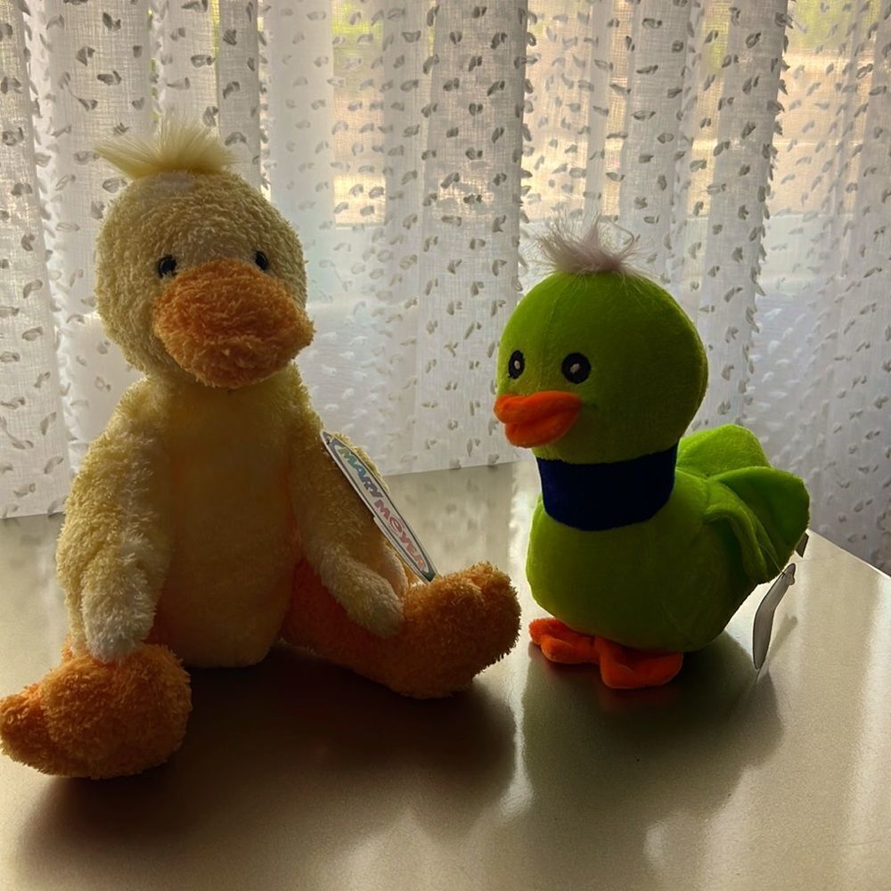 🎉last deal🎉Ducks set 2